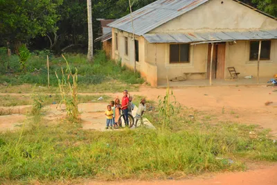 DSC_4303 (Large).JPG